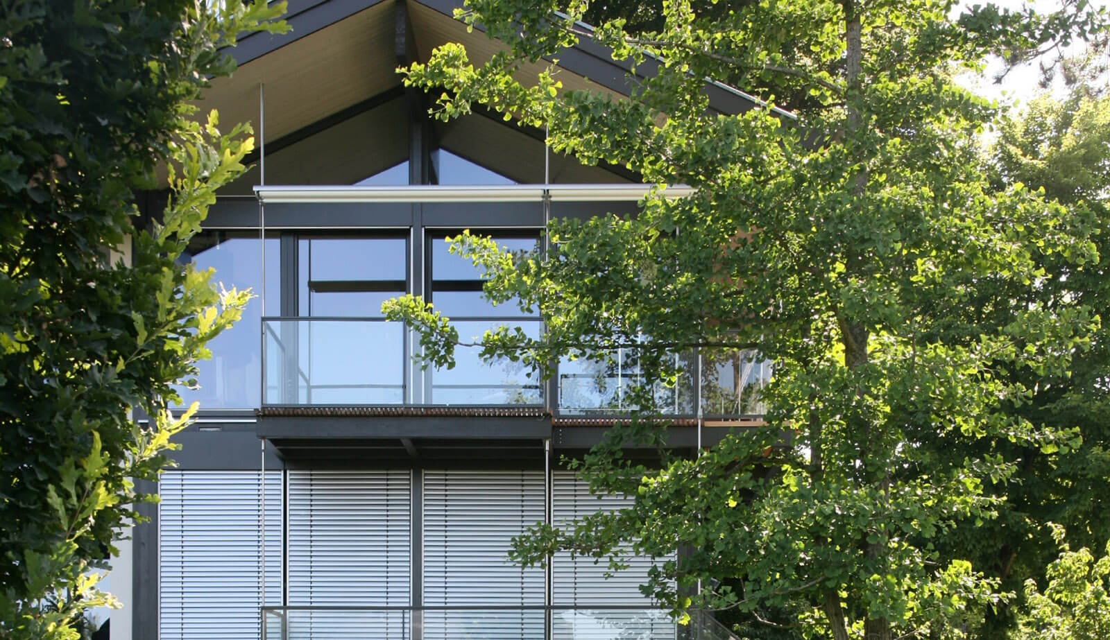 Doppelvilla: Glasgiebel mit Balkon hinter Ginkgobaum und Eichenlaub