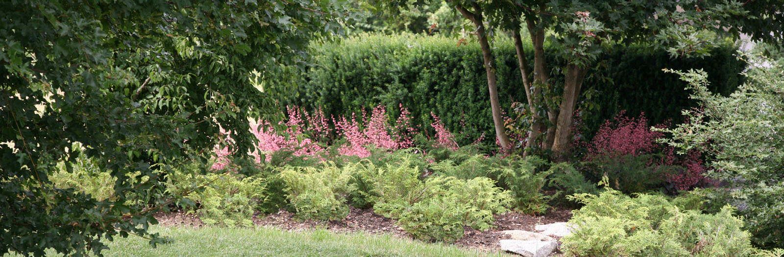 Doppelvilla: Gartenbeet mit rosa Astilben vor hoher Hecke