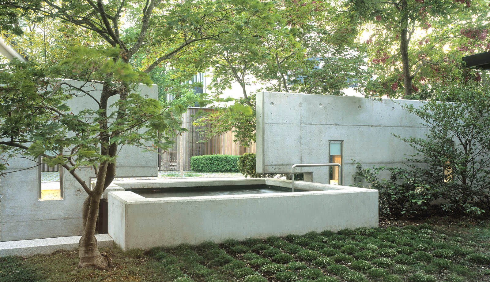 On a small plot: concrete fountain basin in the garden between concrete walls and maples