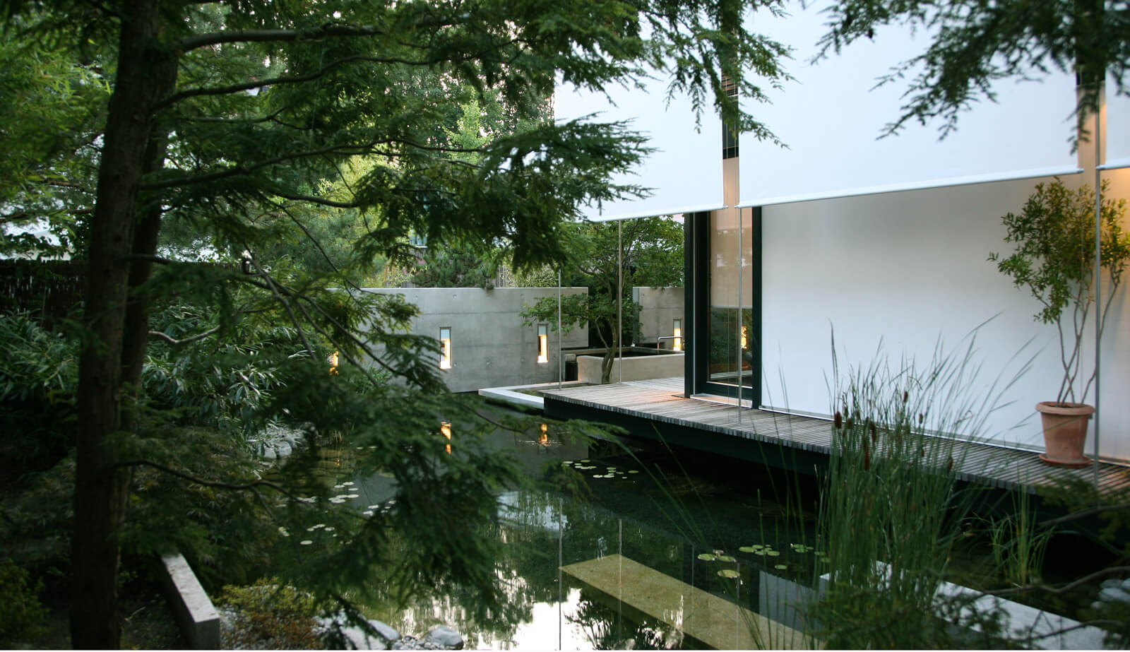 On a small plot: pond with timber deck along the house facade between trees