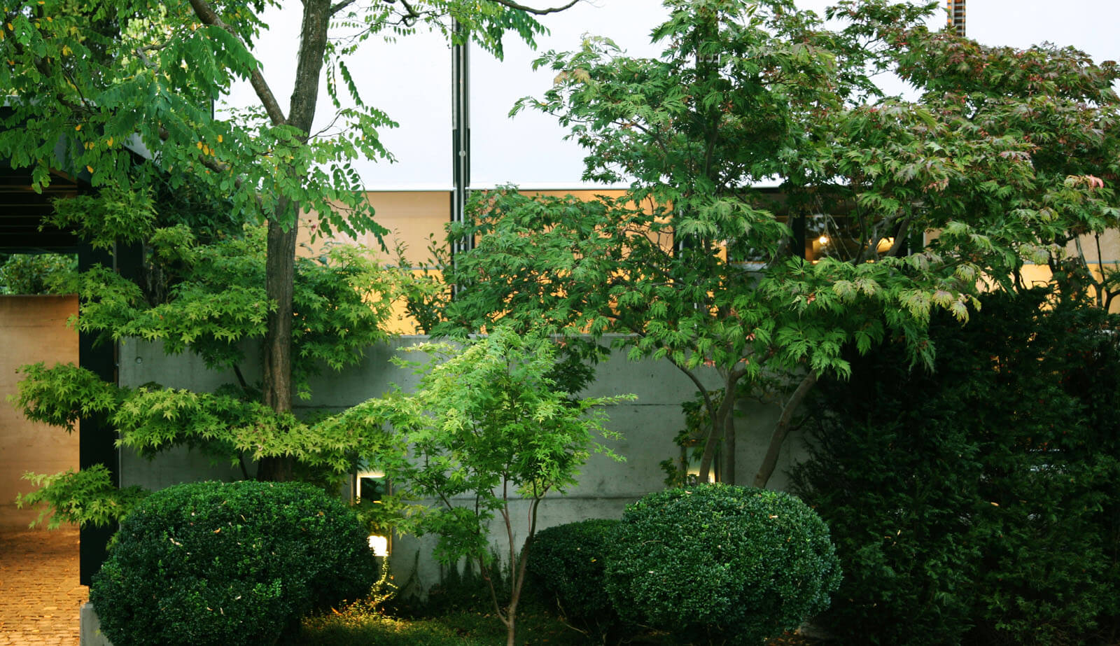 On a small plot: garden trees and box balls in front of concrete wall and facade