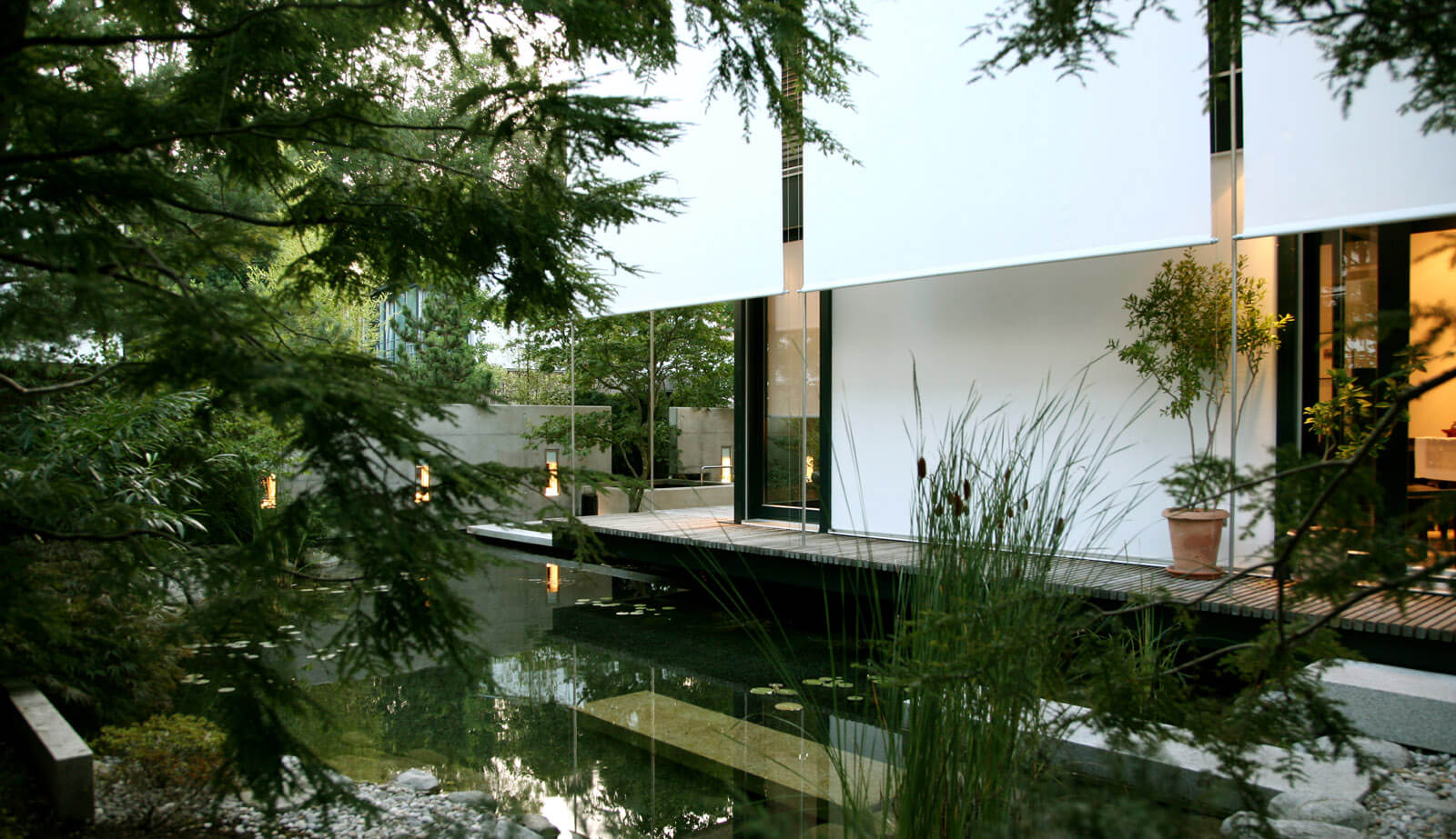 On a small plot: pond with timber deck and grasses in front of the house facade