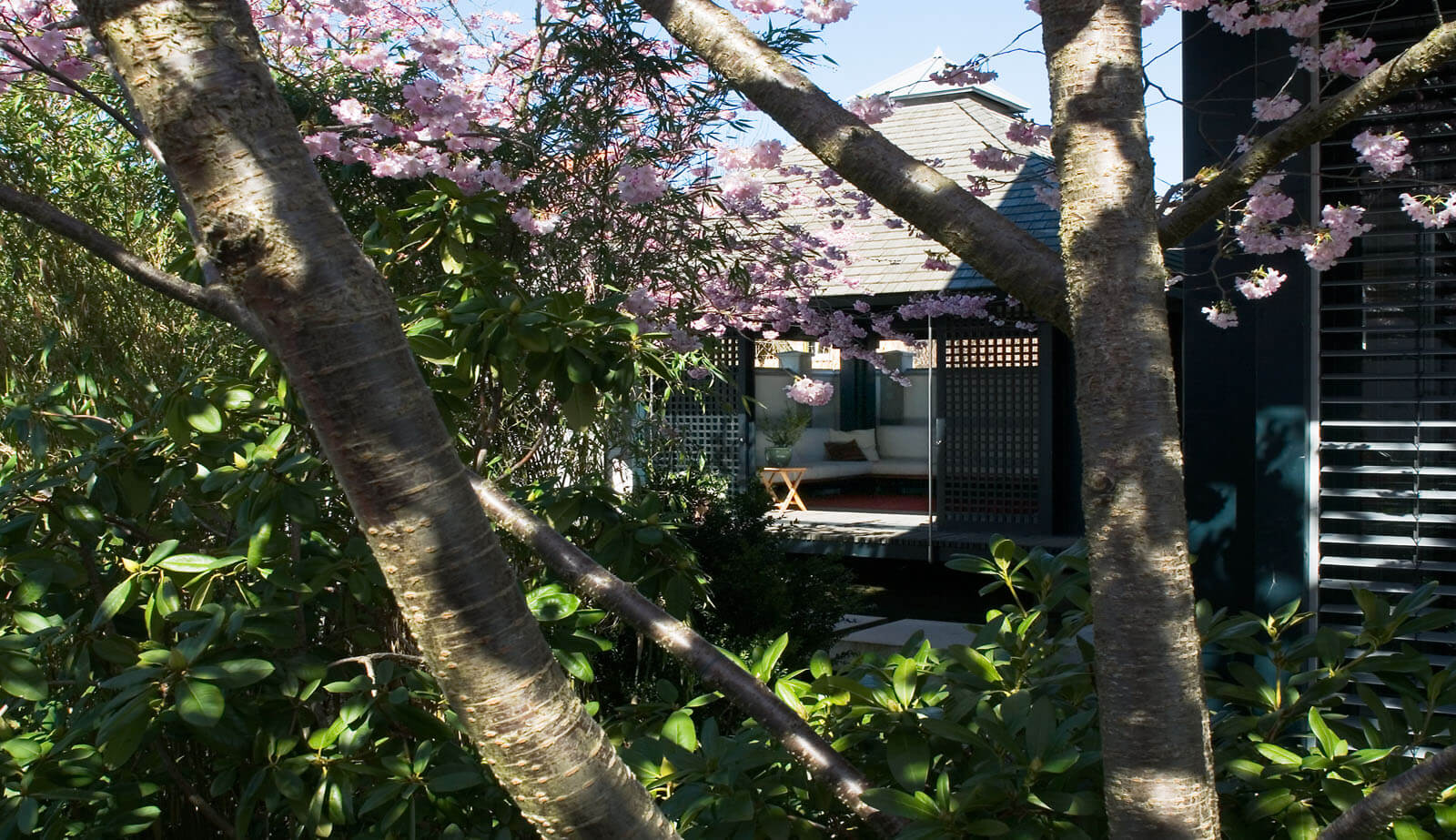 Haus am See: Gartenpavillon hinter blühendem Kirschbaum