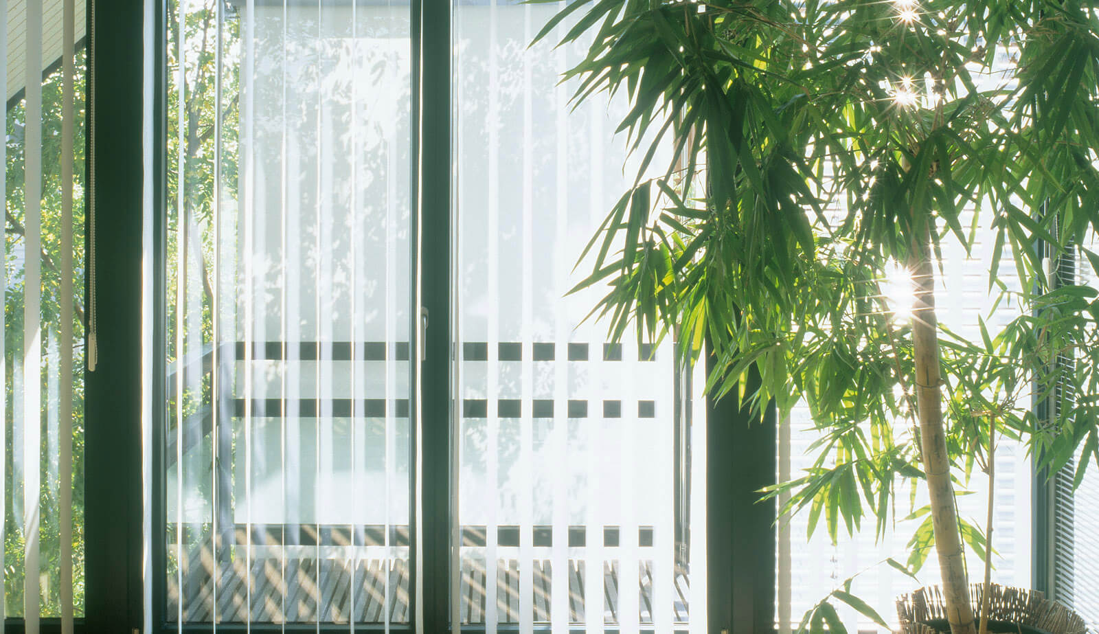 Haus am See: Glasfront mit Lamellenvorhängen und Bambuspflanze
