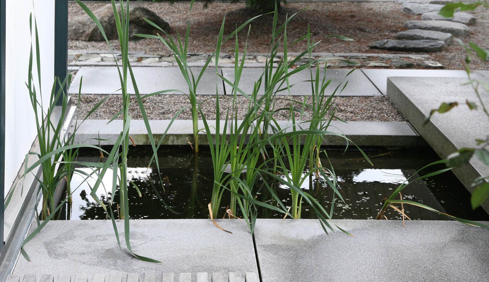 In der Baumschule: Wasserbecken mit Gräsern und Steinplatten am Hauseingang