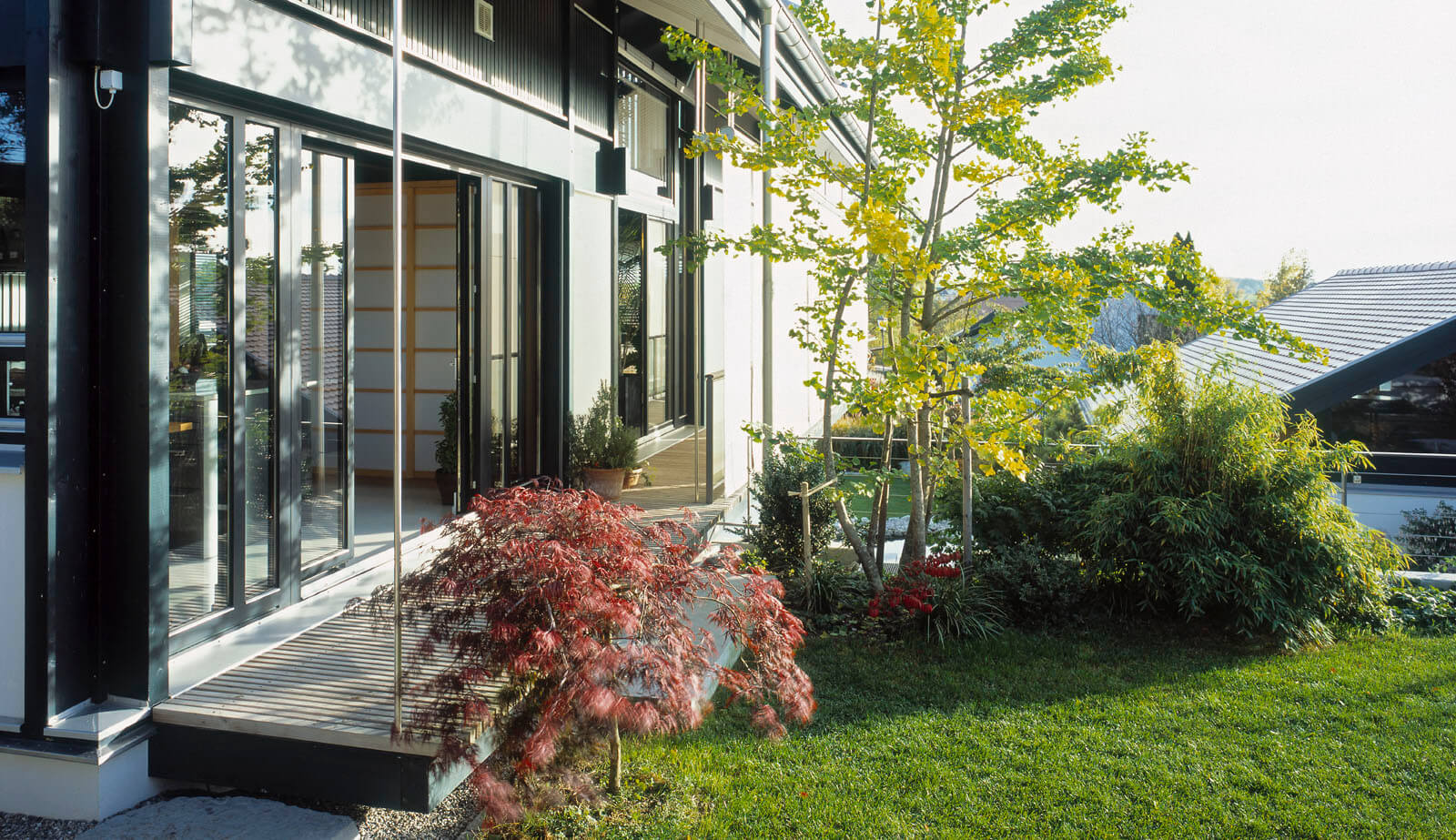 Haus in Hanglage: Gartenterrasse mit Ahorn vor der Glasfassade