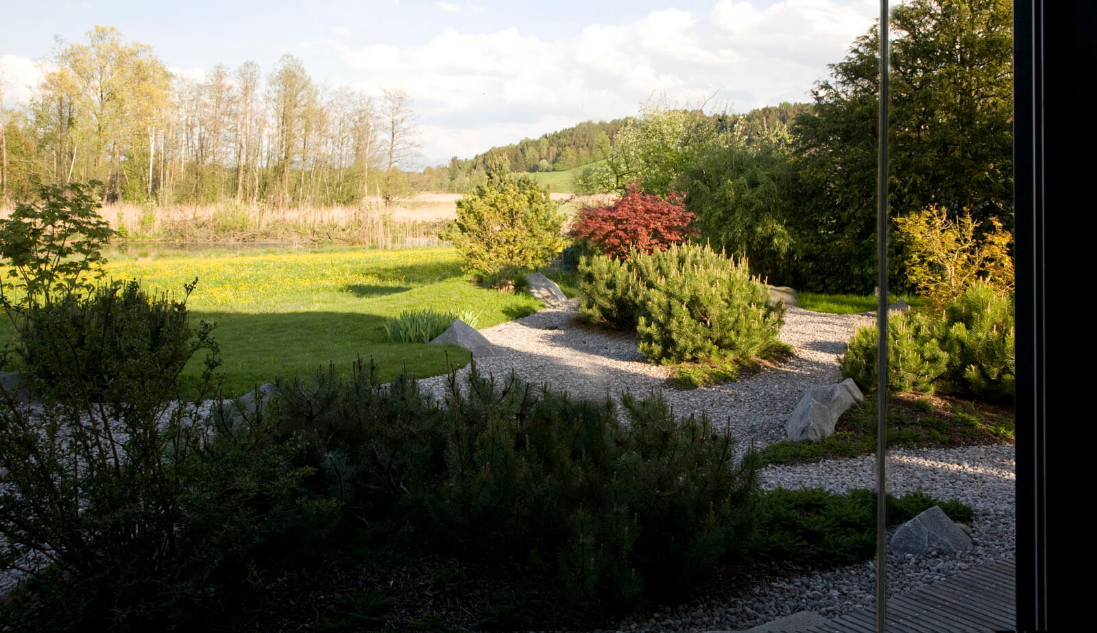 Am Biberteich: Blick durchs Fenster auf Kiesgarten, Kiefern und Wiese mit Teich