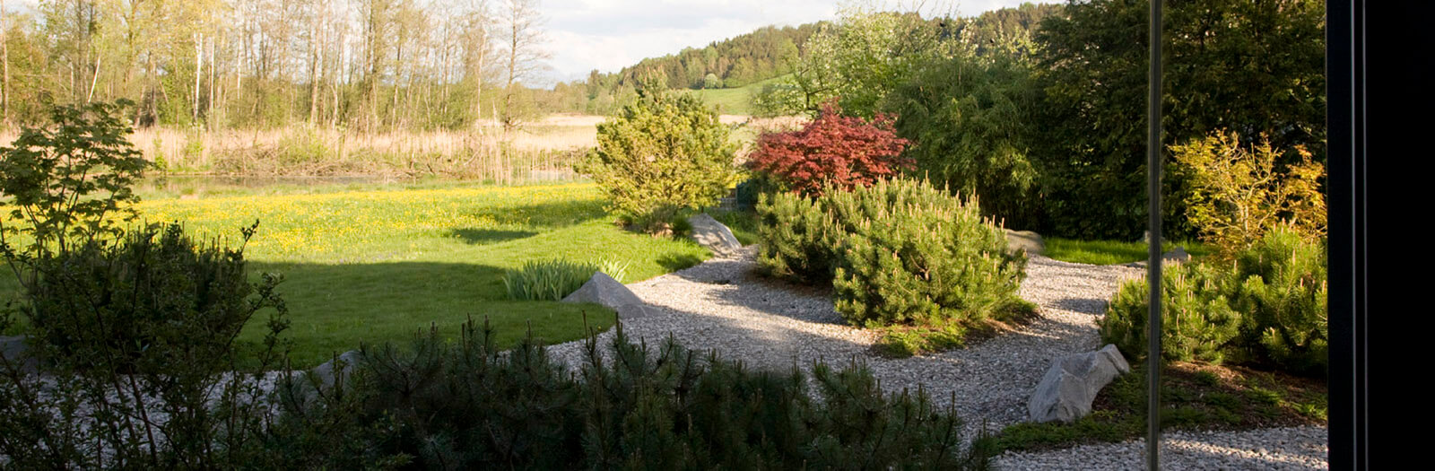 Am Biberteich: Kiesgarten mit Kiefern und Fächerahorn vor Wiese und Wald