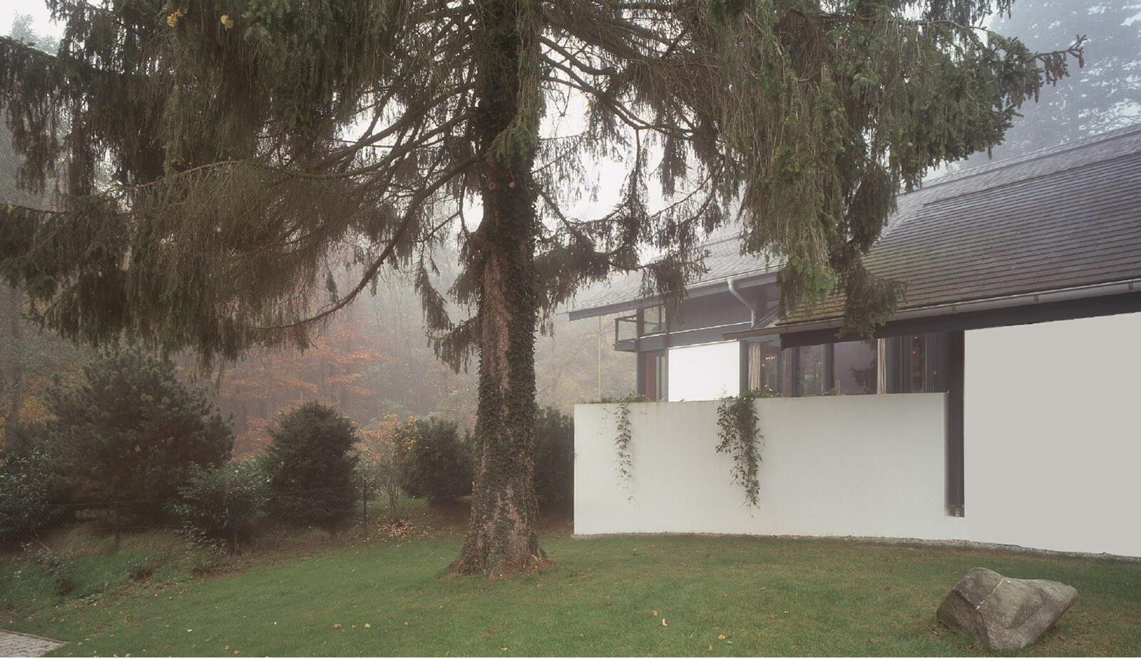 Villa im Park: weiße Mauer und Haus hinter großer Tanne im Nebel