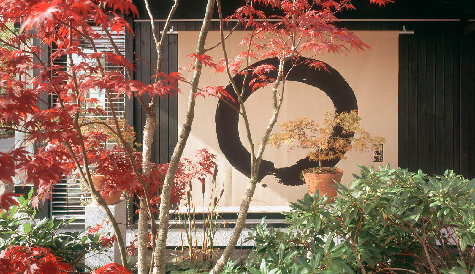 Villa im Park: roter Ahorn vor Wand mit großer Zen-Kreis-Kalligrafie