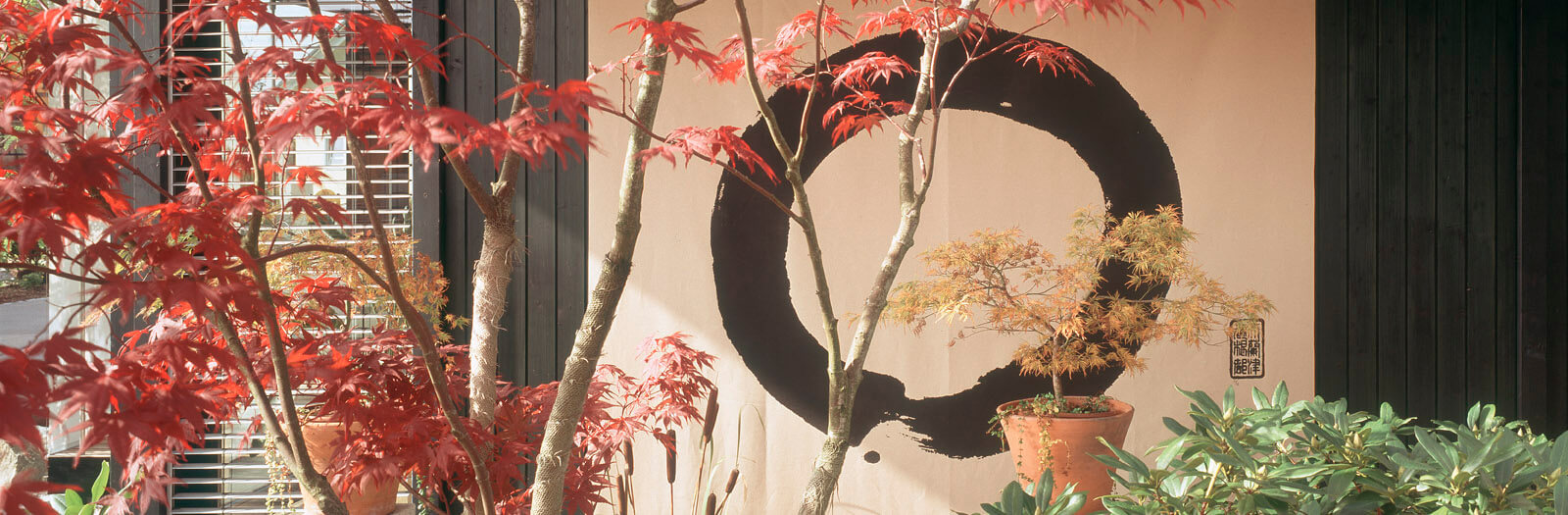 Villa im Park: roter Ahorn vor Wand mit Zen-Kreis-Kalligrafie